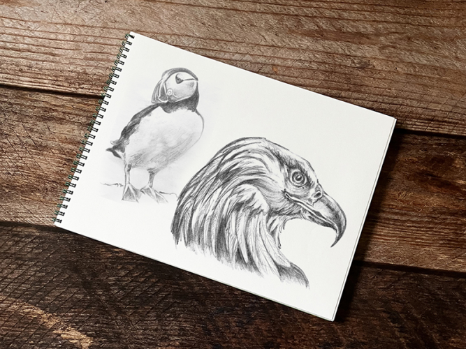 2012 sketch2 Kopie