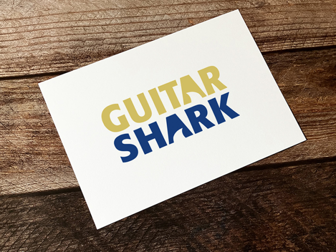 2008 guitar shark pointvision Kopie